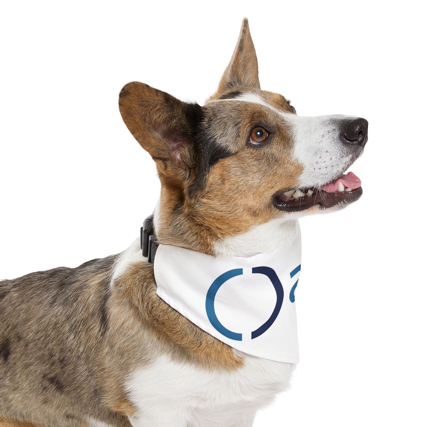 Pet Bandana Collar